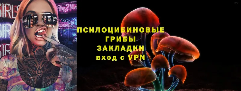 Псилоцибиновые грибы Magic Shrooms  где найти   Называевск 